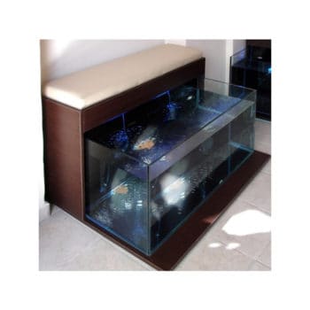 Fish spa Exclusive two seater