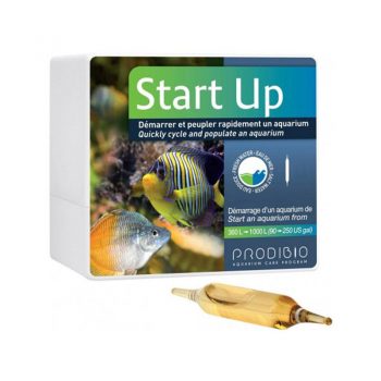 Prodibio Startup 12Amp