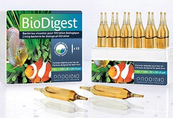 Prodibio BioDigest-0