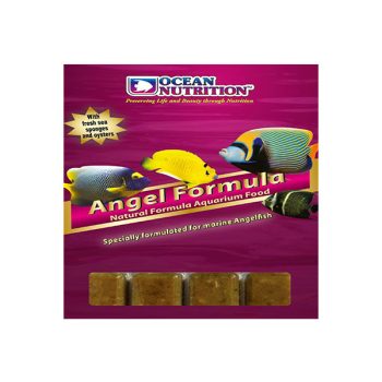 Ocean Nutrition Angel Formula