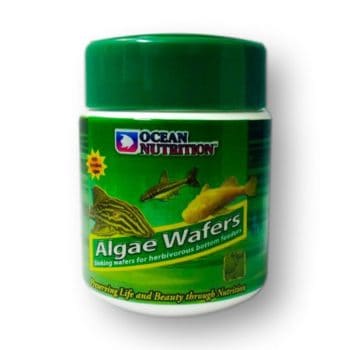 Ocean Nutrition Algae Wafers-0