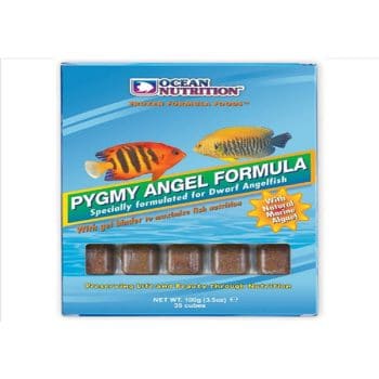 Ocean Nutrition Frozen Pugmy Angel Formula cube tray