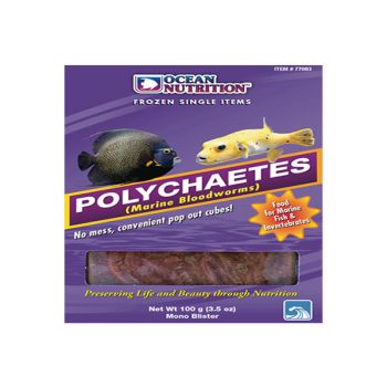 Ocean Nutrition Polychaetes