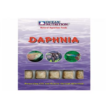 Ocean Nutrition Frozen Daphnia cube tray