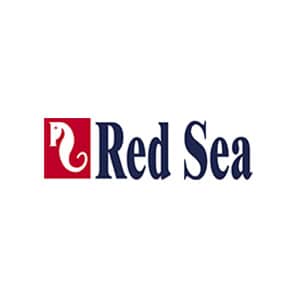 Red Sea