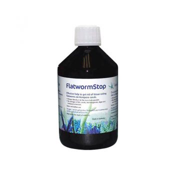 Korallen-Zucht Flatwormstop 250ml