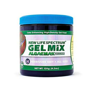 New Life Spectrum - Algae Gel Formula 100gr