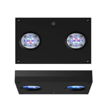 Ai Hydra 32 HD Led Light Black