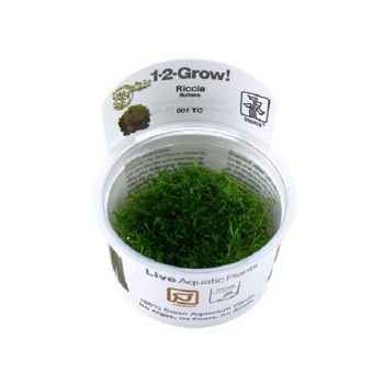 Tropica Riccia Fluitans 1-2-Grow!