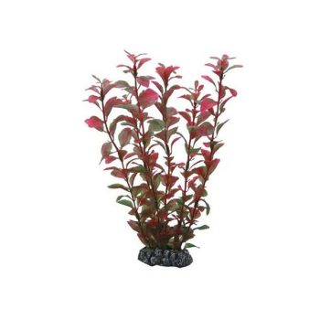 Hobby Ludwigia 25cm