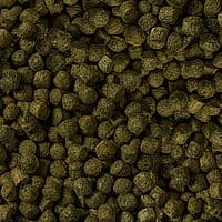 Sera Koi Color Medium 1000ml - Image 2