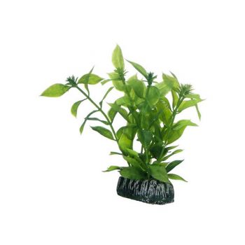 Hobby Hygrophila 13cm