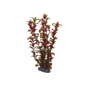 Hobby Rotala 30cm