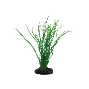 Hobby Sagittaria 20cm