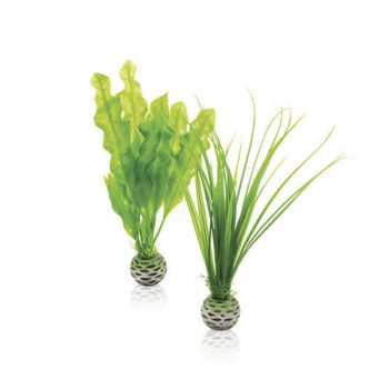 Βiorb Decor Easy Plant Set S Green