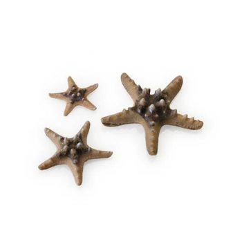 Oase Βiorb Decor Sea Star Set 3 Natural (end)