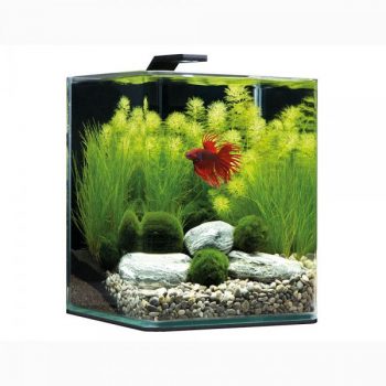 Dennerle Nano Bettacube 10lt - Style Led S