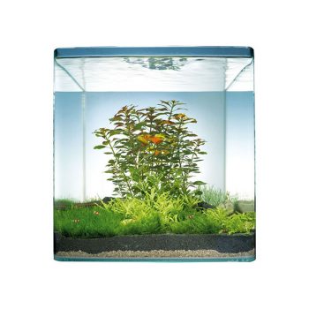 Dennerle Nano Cube 10lt