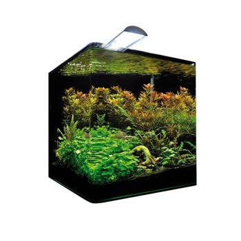 Dennerle Nano Cube Basic 30lt - Style Led M