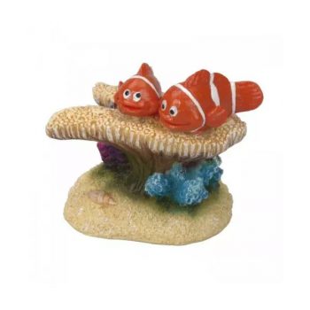 Aqua Della Clown Fish 7