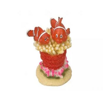 Aqua Della Clown Fish 5