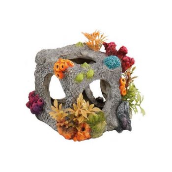 Aqua Della Cube Habitat