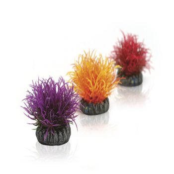 Oase Aquatic Colour Ball Set 3