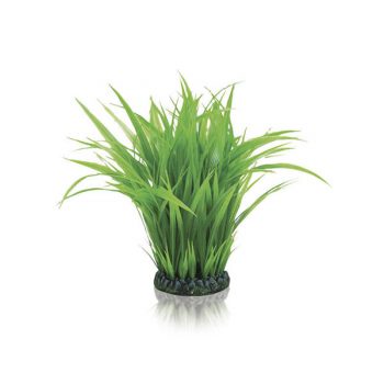 Oase Grass Ring Large