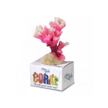 Aqua Della Cauliflower Coral S