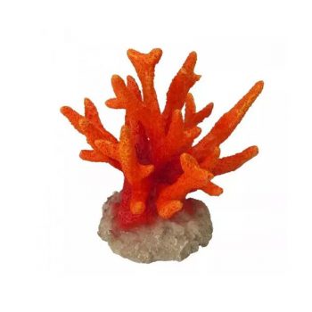 Aqua Della Coral Seriatora Orange