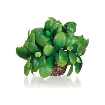 Oase Βiorb Misteletoe Ball (end)