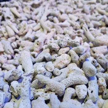 Tropical Marine Calcium Reactor Media 1kg