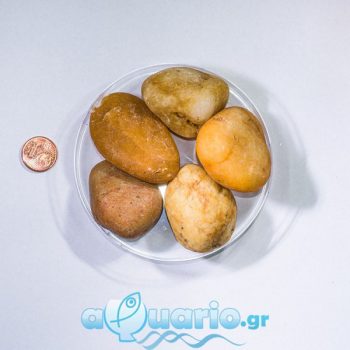 Pebble Shiny Yellow 2-4cm 1kg