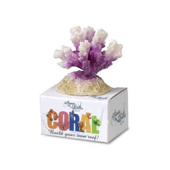 Aqua Della Cauliflower White/Purple 8.7x6.5x5cm