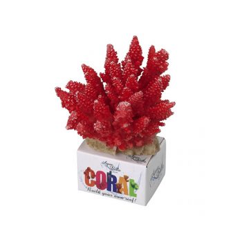 Aqua Della coral acropora red M. 11.5x10.5x9cm
