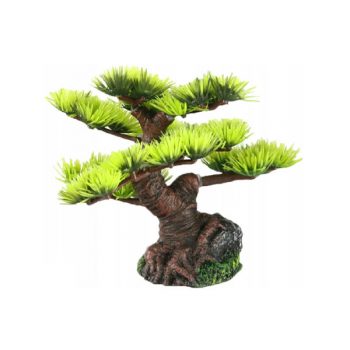 Aqua Della Bonsai mini sort B 9.50 cm