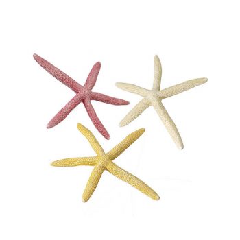 Aqua Della starfish L