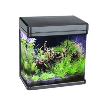 Boyu MS-220 25,5x16,2x26,8 Black  8lt