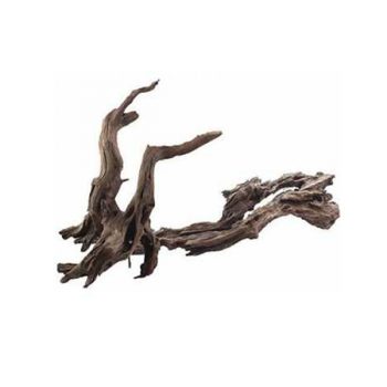 Croci Amtra Ikebana wood 20-30cm
