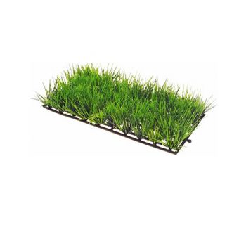 Hobby Plant Mat 1 - 25x12.50