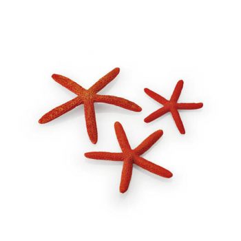 Oase Starfish Set 3 Red