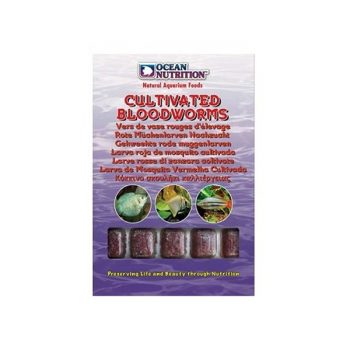 Ocean Nutrition Frozen Cultivated Bloodworms Cube Tray 100gr