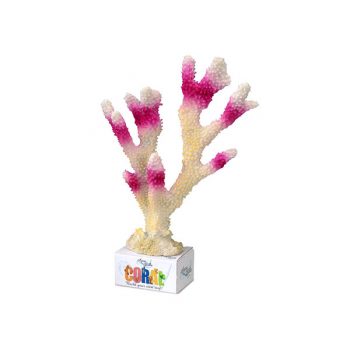 Aqua Della coral 26x18.5x7.5 cm