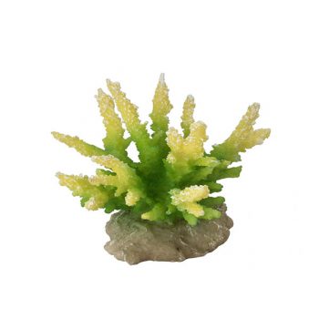 Aqua Della coral hydnopora lime 9.5x8.5x10.5 cm