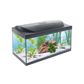 Tetra Starter Line Tank LED Black 54lt