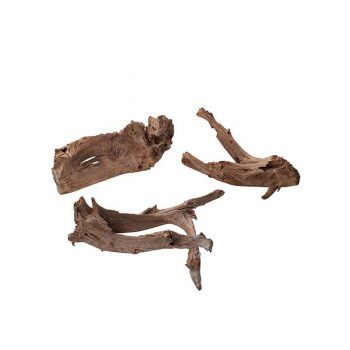 Εuropet decor - wood mango 300mm-500mm