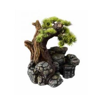 Aqua Della Bonsai SM 16,5x16,5x18cm