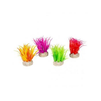 Aqua Della Hair Grass 6cm assorted