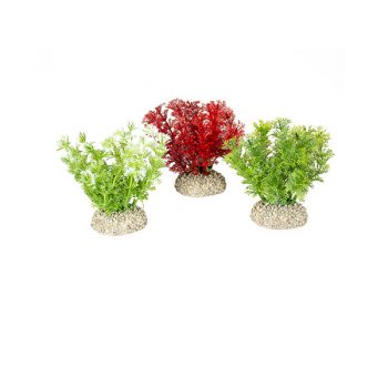 Aqua Della Plants Hottomia 10cm assorted