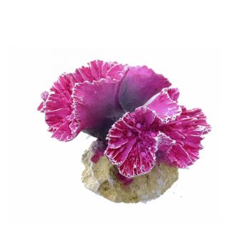 Aqua Della Symphylia S coral 8x8x7cm